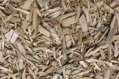 biomass boilers Bircher