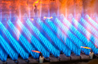 Bircher gas fired boilers